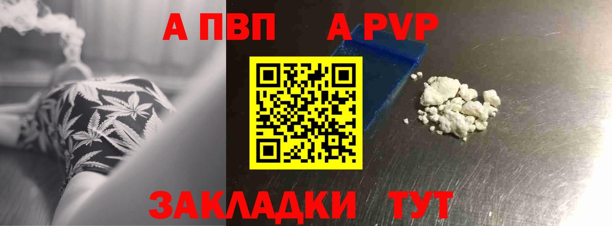 Alfa_PVP СК Ноябрьск